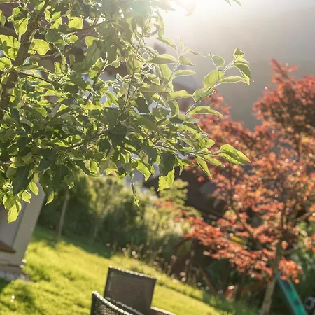 Reiters Wohlfuehlhotel 3* Haus im Ennstal