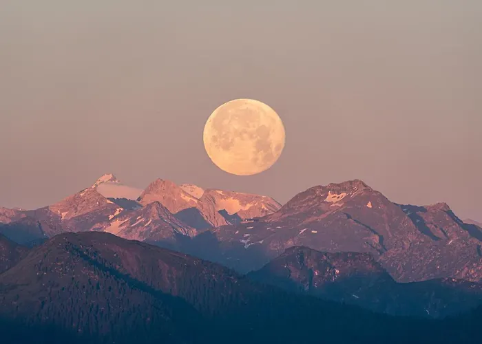 Reiters Wohlfuehlhotel Hotel