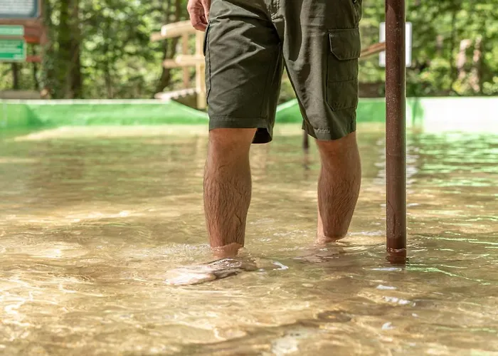 Reiters Wohlfuehlhotel Hotel 3*